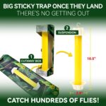 Sticky Fly Trap - Image 2