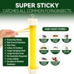 Sticky Fly Trap - Image 3