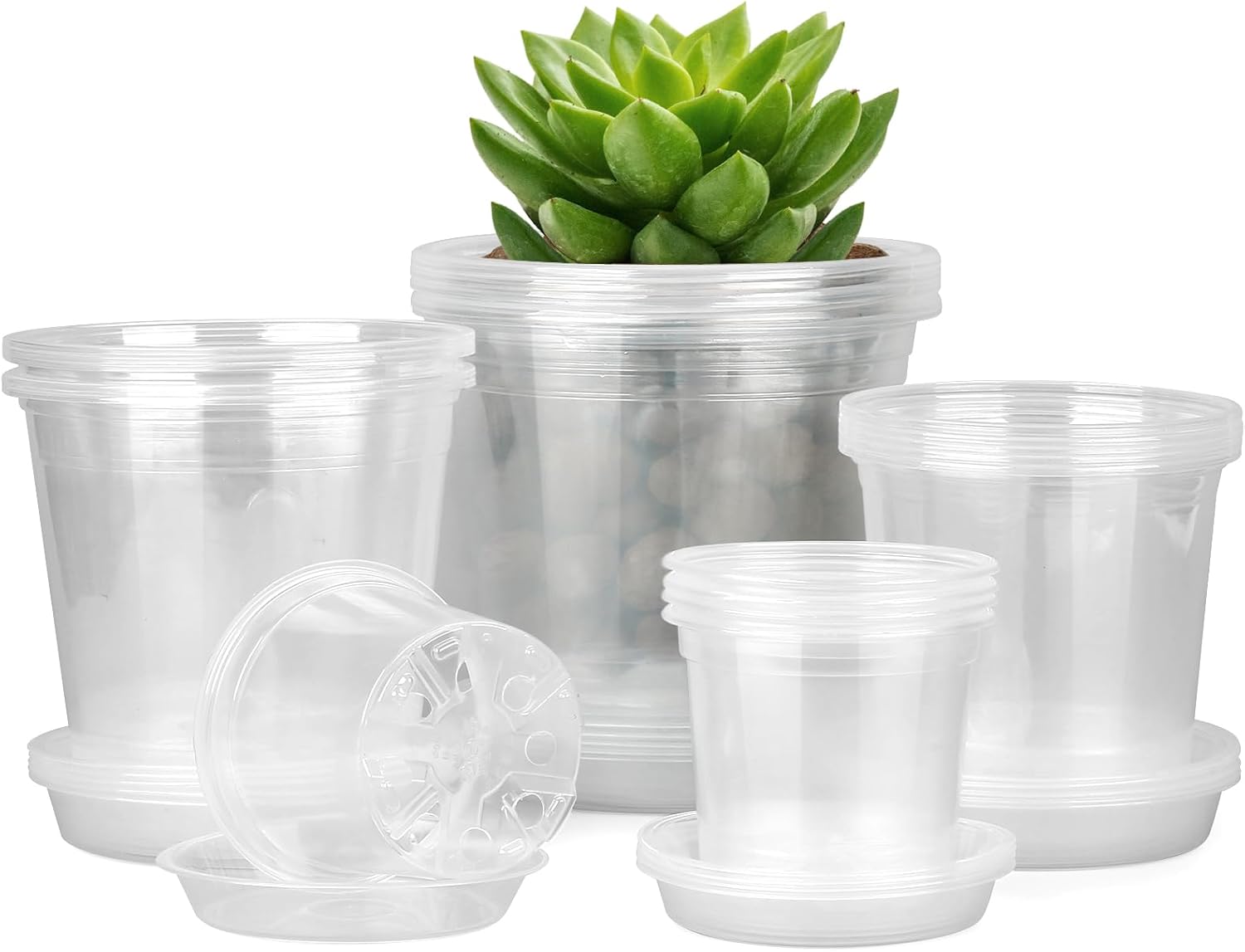 Clear Nursery Pots with Saucers, 20 Pack, 4 to 7 inch