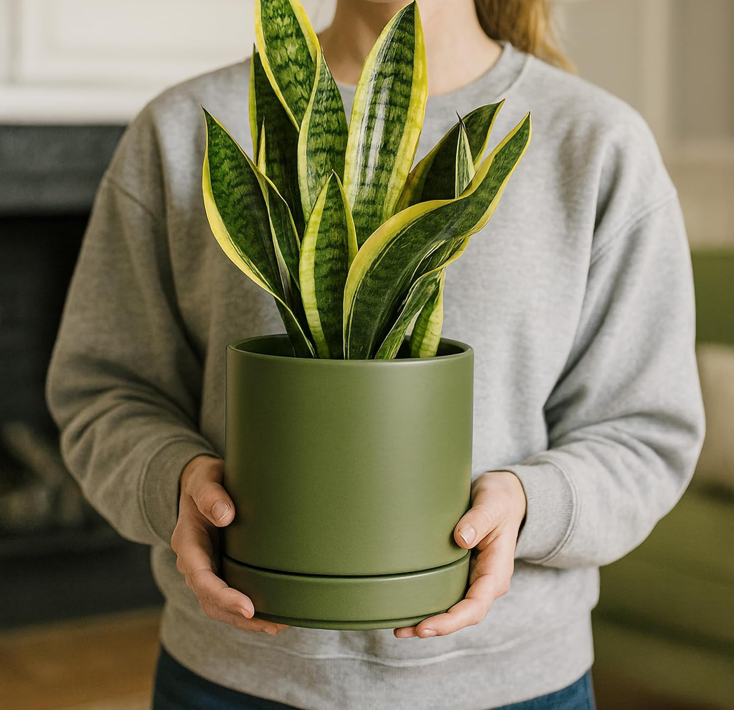 Modern Cylinder Ceramic Planter, 6.5 inch, Olive