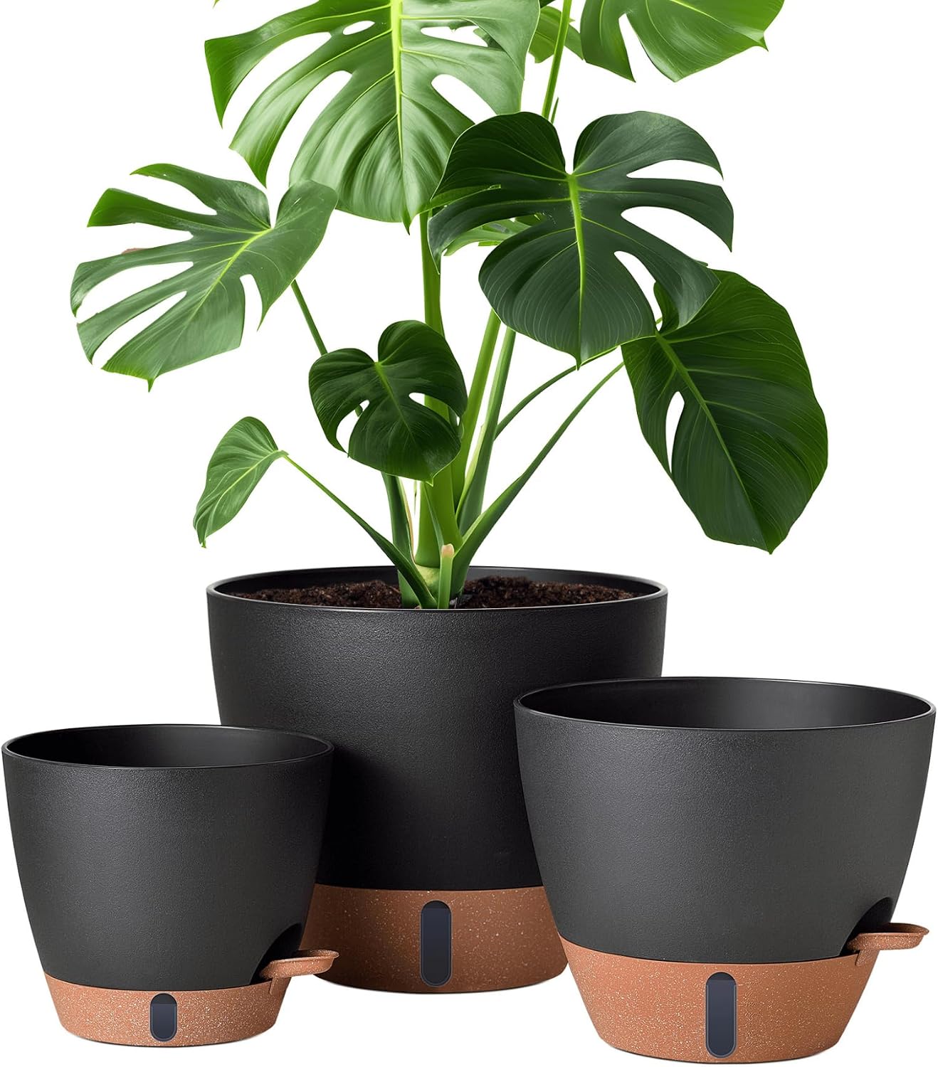 Self-Watering Pots, 3 Sizes, 8 to 12 inch