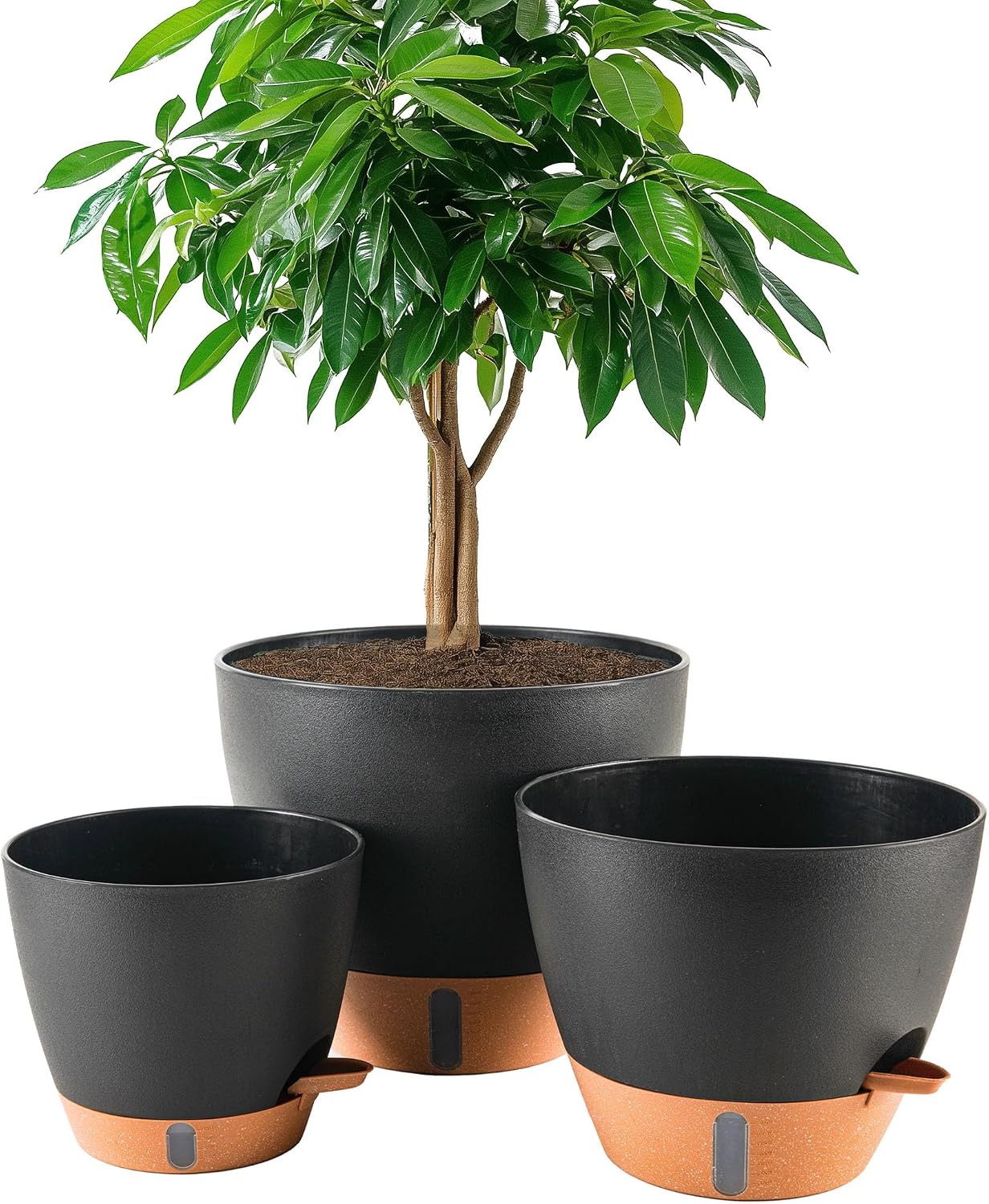 Self-Watering Pots for Indoor and Outdoor Plants, 3 Sizes