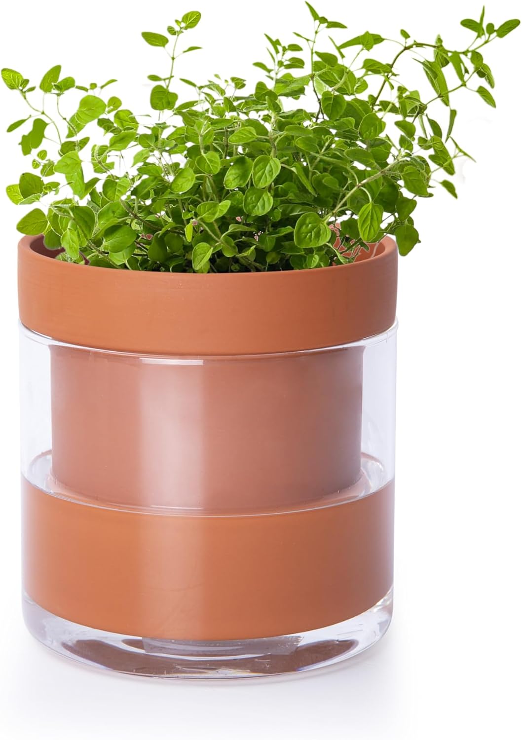 Self-Watering Terracotta Pot with Glass Reservoir, 4 inch